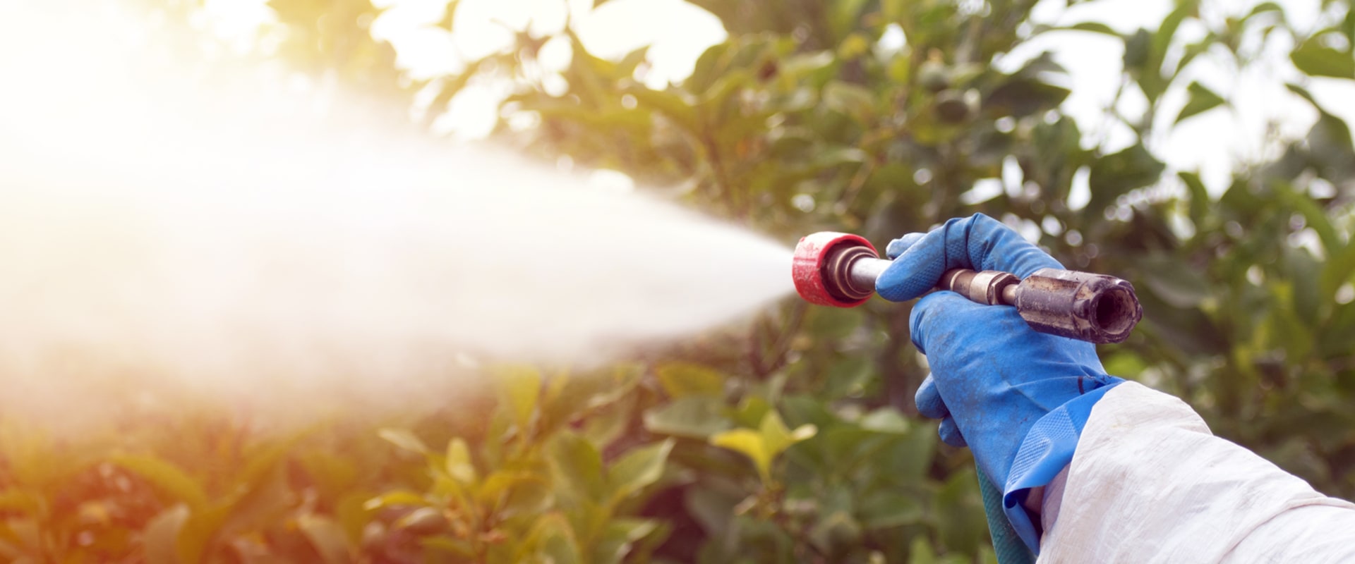 The Advantages Of Hiring A Calgary Wasp Control Provider For Your Needs In Landscaping Services