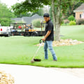 Why Should A Landscaping Service Provider Partner With Extermination Companies In Fayetteville, GA?