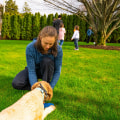 Safeguard Your Landscaping Services With Tick Control In New Hampshire