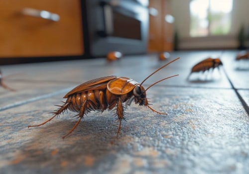 Cockroach-free Landscaping: Why Las Vegas Landscaping Services Need A Cockroach Exterminator