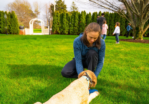 Safeguard Your Landscaping Services With Tick Control In New Hampshire